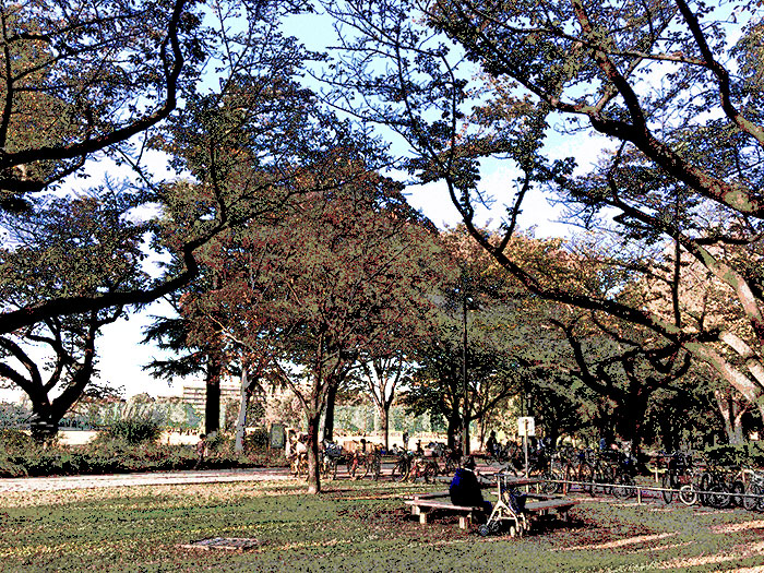 北多摩某公園の写真